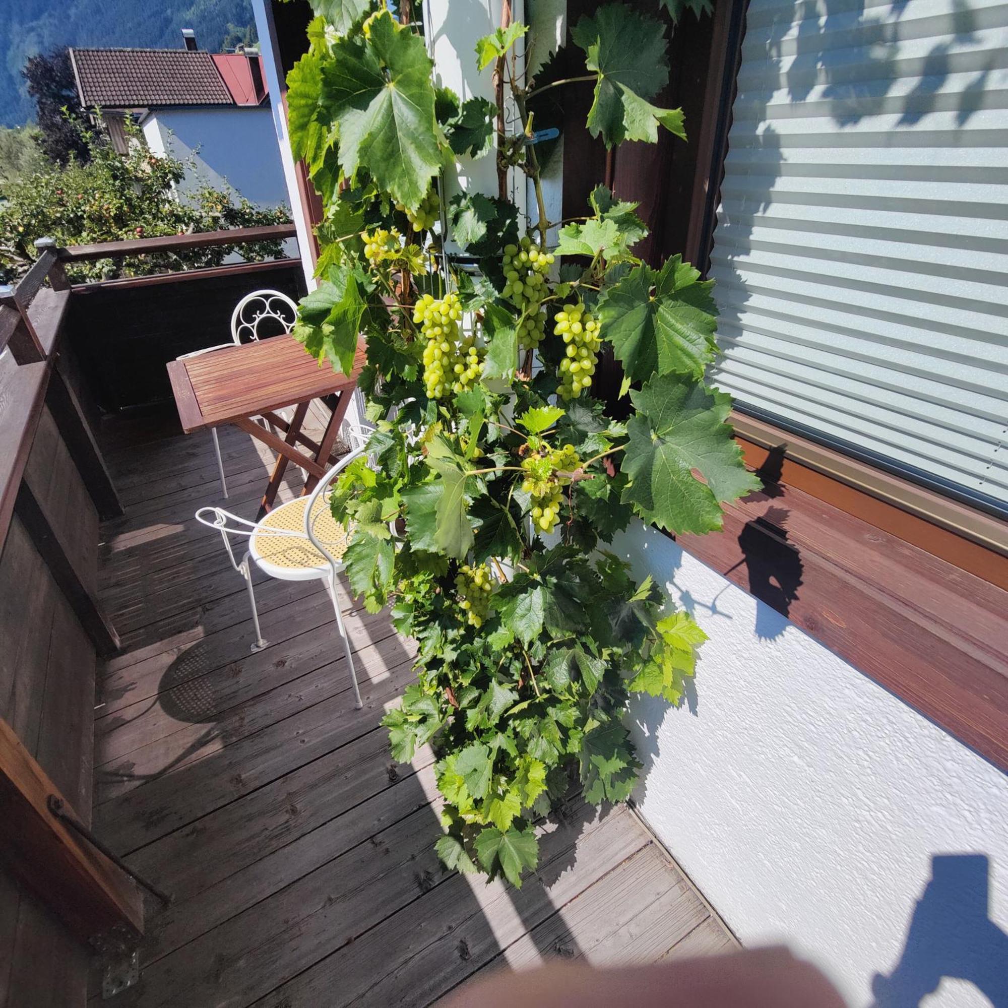 Apartment Reiter Zellbergeben Kültér fotó